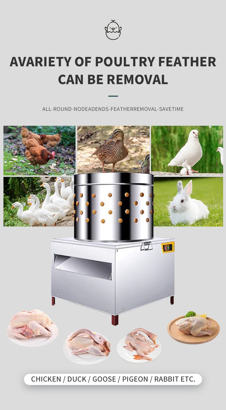 HHD Medium Size SD50 Chicken F - Chicken Plucker Machine recension och pris