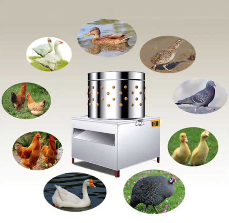 Commercial Chicken Defeatherin - Chicken Plucker Machine recension och pris
