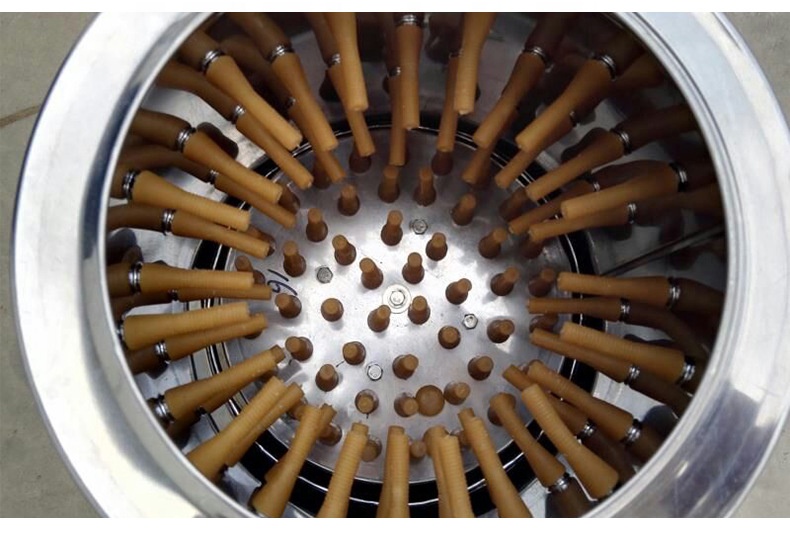 Stainless Steel Industrial Chi - Chicken Plucker Machine recension och pris
