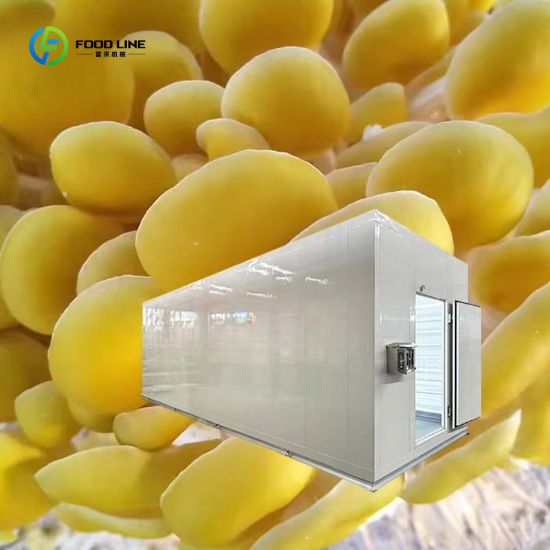 Smart Mushroom Growing Capsule - Agriculture Farming New Technology recension och pris