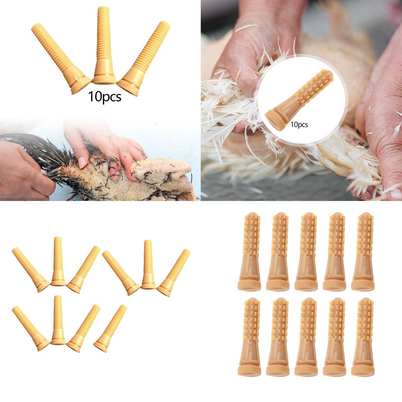 Poultry Plucker Machine Parts  - Chicken Plucker Machine recension och pris