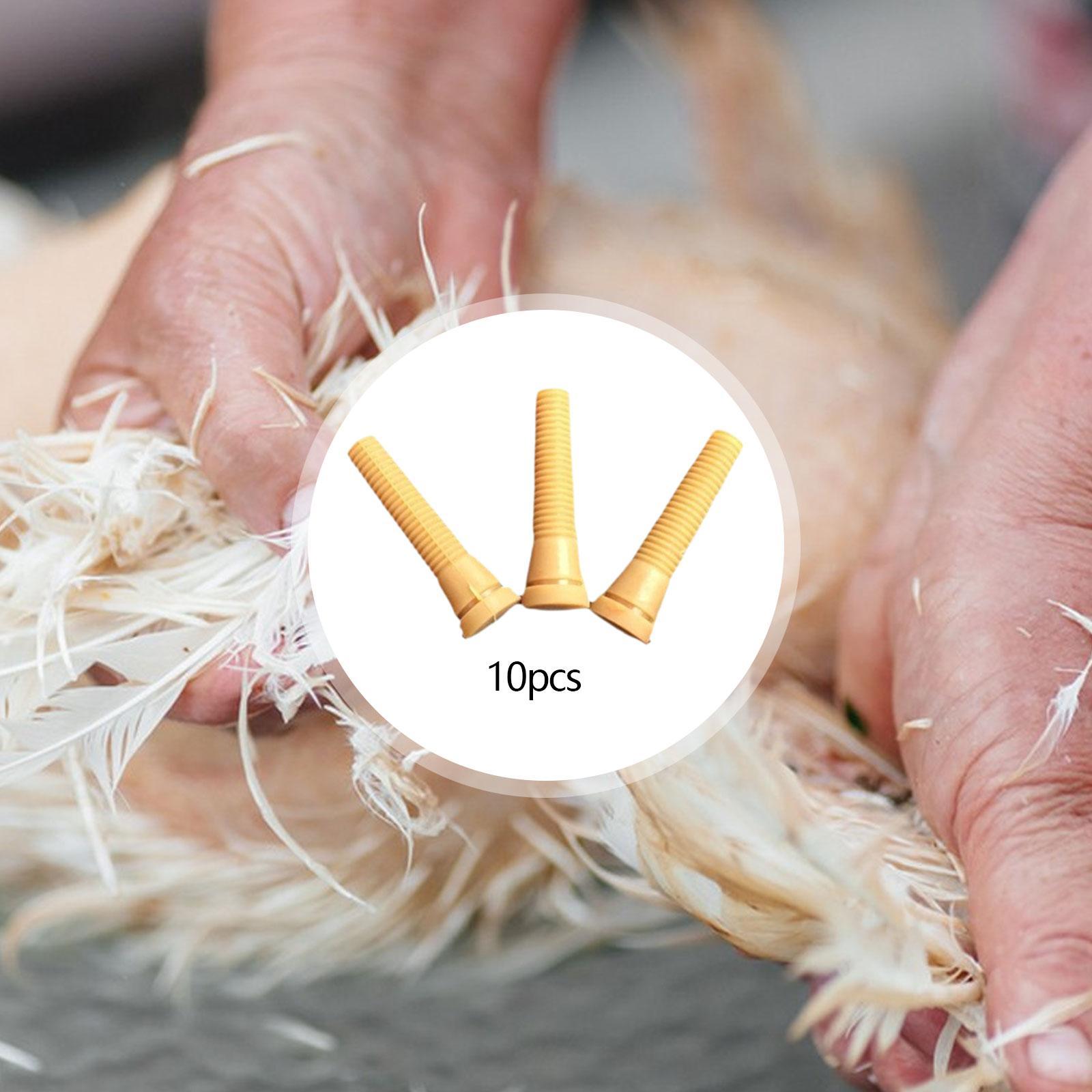 Poultry Plucker Machine Parts  - Chicken Plucker Machine recension och pris