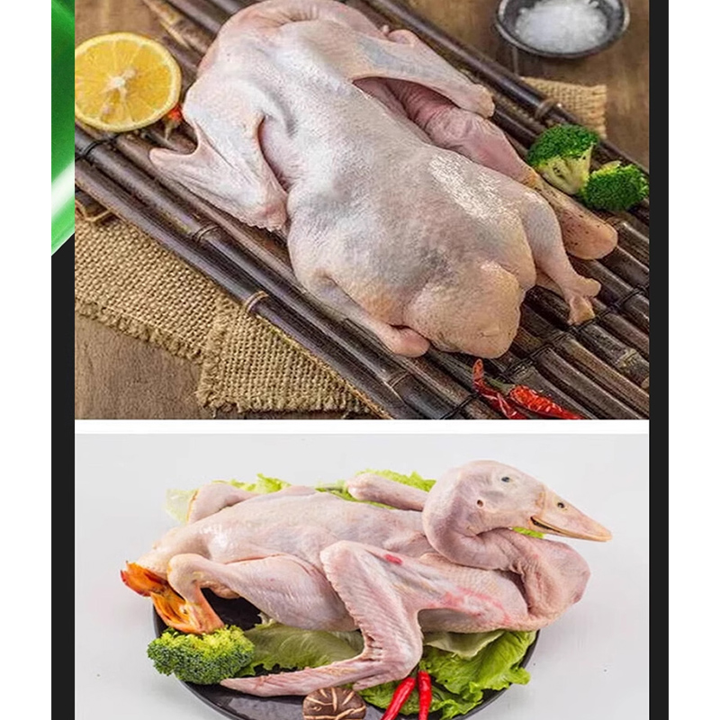 Handheld Feather Plucker Machi - Chicken Plucker Machine recension och pris