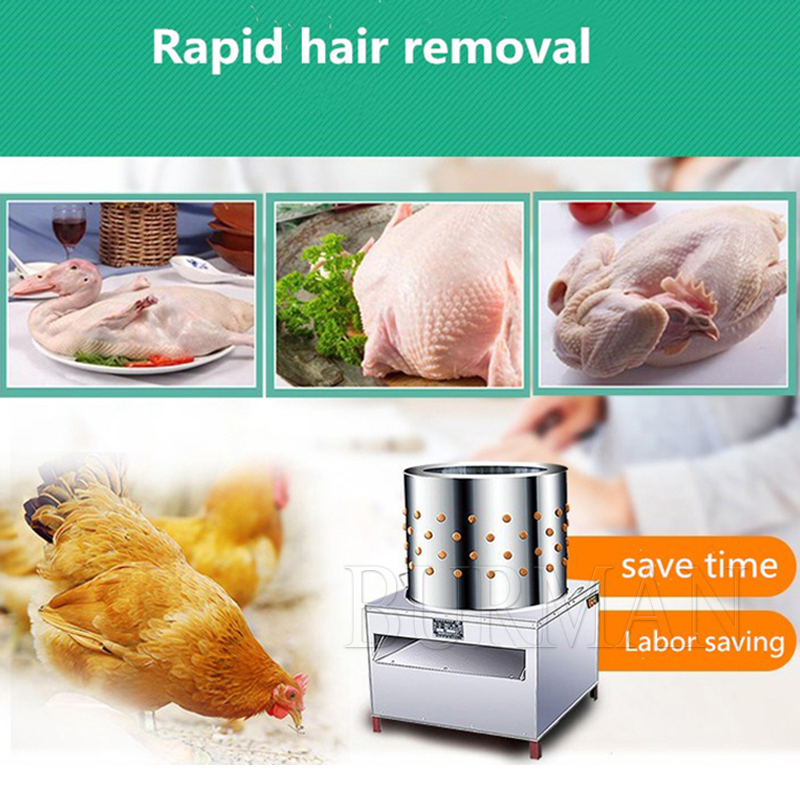 New Quail Pigeons Bird Hair Re - Chicken Plucker Machine recension och pris