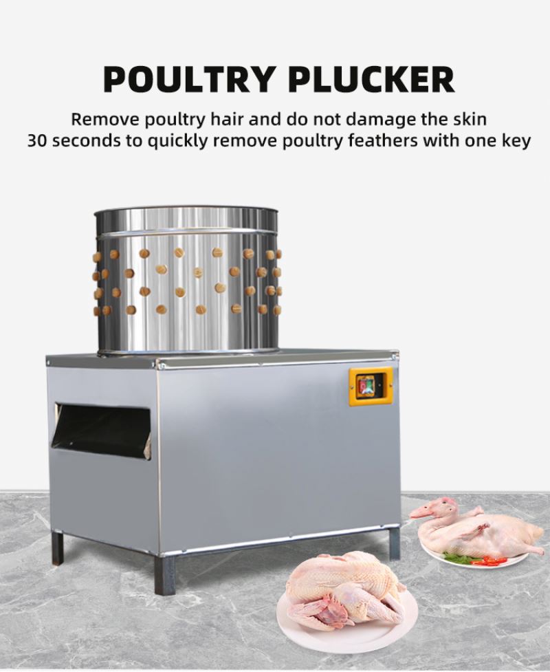 ISO Approved Pigeons Chicken S - Chicken Plucker Machine recension och pris