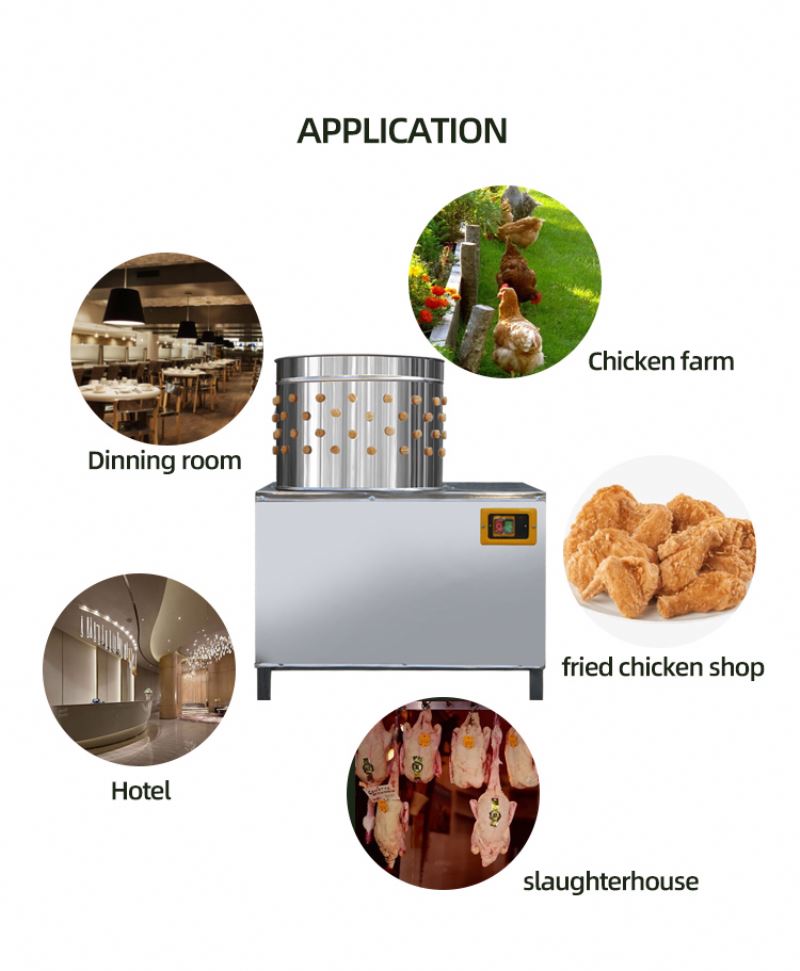 ISO Approved Pigeons Chicken S - Chicken Plucker Machine recension och pris